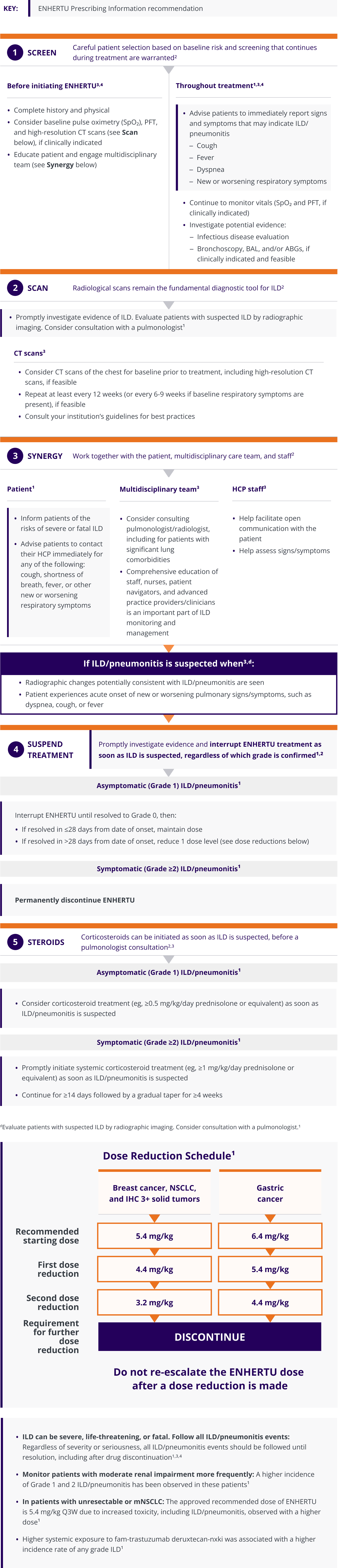 The ENHERTU ILD/pneumonitis treatment algorithm, consisting of: 1) Screen 2) Scan 3) Synergy 4) Suspend Treatment 5) Steroids, and dose reduction schedule based on indication